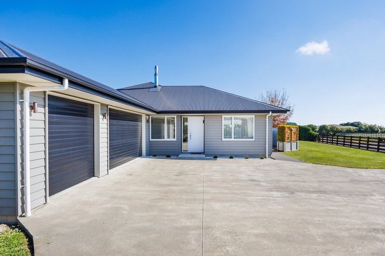 Photo of property in 29 Wapiti Avenue, Feilding, 4775