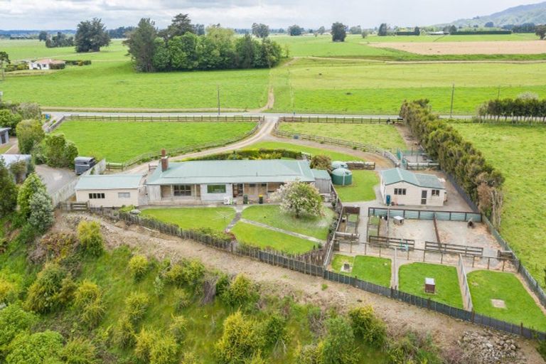 Photo of property in 382 Kimberley Road, Levin, 5571