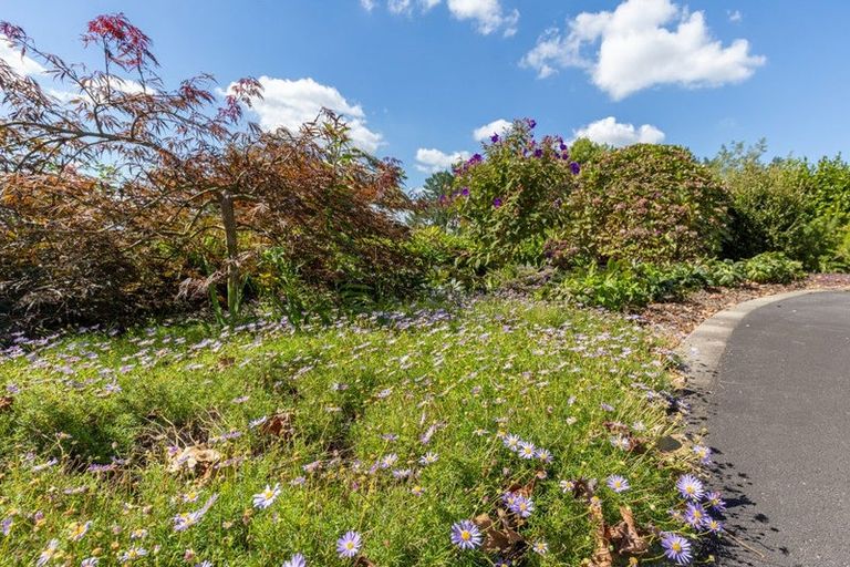 Photo of property in 319b Rotowaro Road, Huntly, 3771