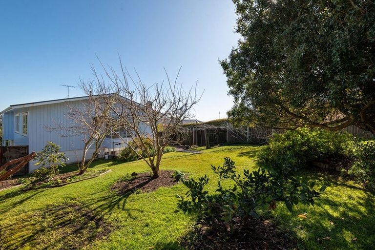 Photo of property in 46 Alton Avenue, Hillcrest, Auckland, 0627