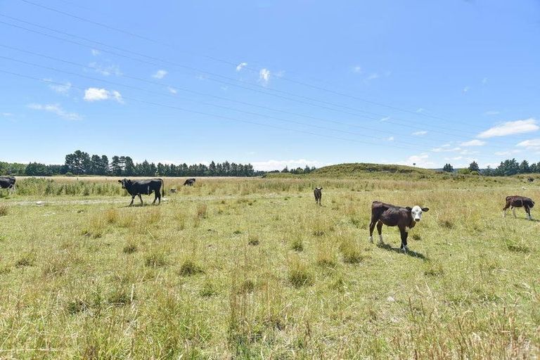 Photo of property in 8 Helmore Street, Rangiora, 7400