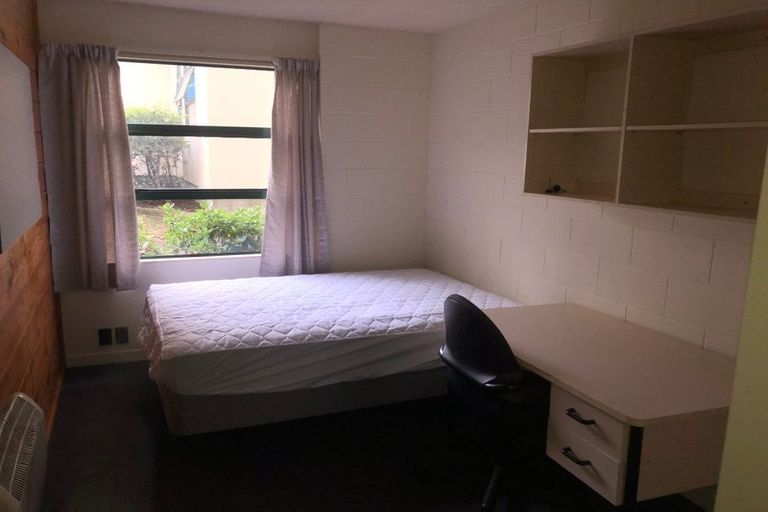 Photo of property in Te Awhina Apartments, 18/22u Sussex Street, Mount Cook, Wellington, 6021