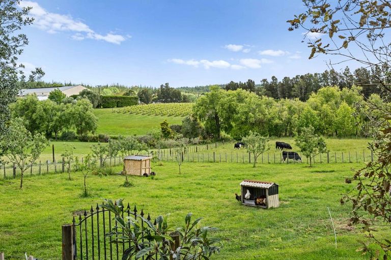 Photo of property in 241a Ararimu Valley Road, Helensville, Waimauku, 0882