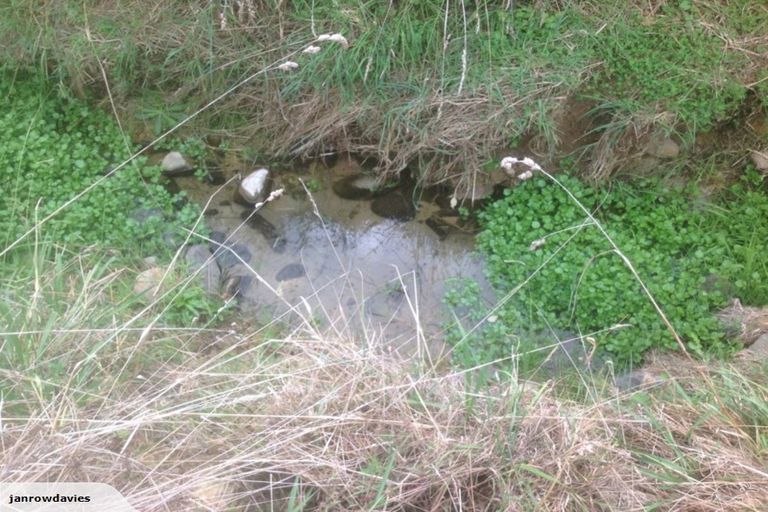 Photo of property in 265 Maungakawa Road, Cambridge, 3496