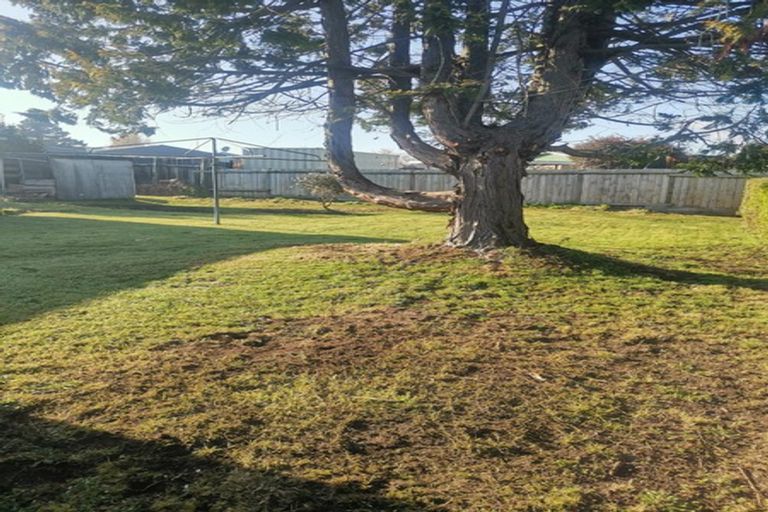 Photo of property in 21 Edward Street, Tokoroa, 3420