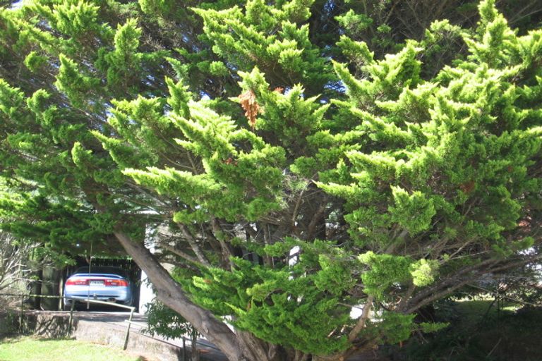 Photo of property in 13 Hague Place, Birkenhead, Auckland, 0626