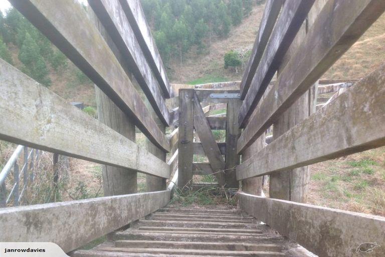 Photo of property in 257 Maungakawa Road, Cambridge, 3496