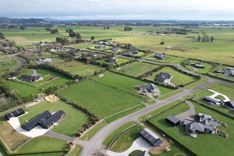 Photo of property in 12 Oriwa Lane, Levin, 5571