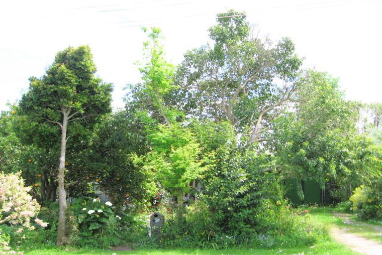 Photo of property in 12 Devery Street, Mangapapa, Gisborne, 4010