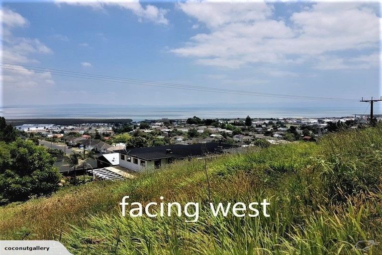 Photo of property in 210 Hauraki Terrace, Thames, 3500