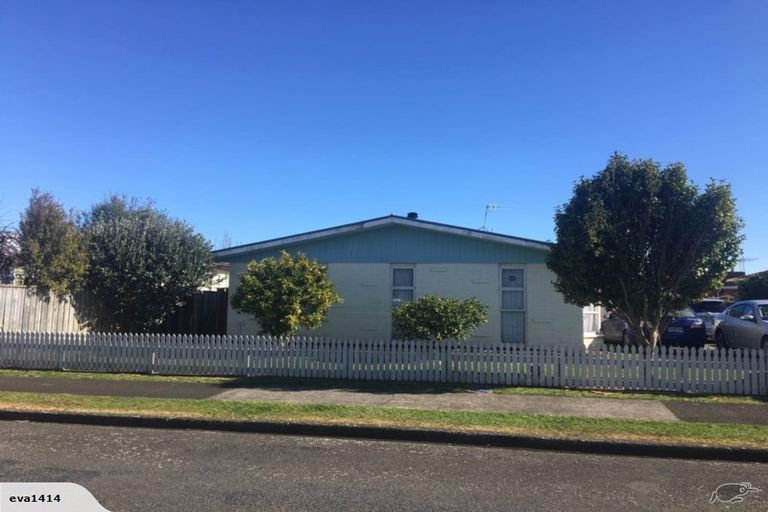 Photo of property in 53 Featherston Street, Levin, 5510