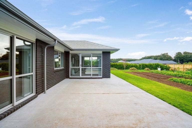 Photo of property in 41 Karanui Road, Te Kamo, Kamo, 0185