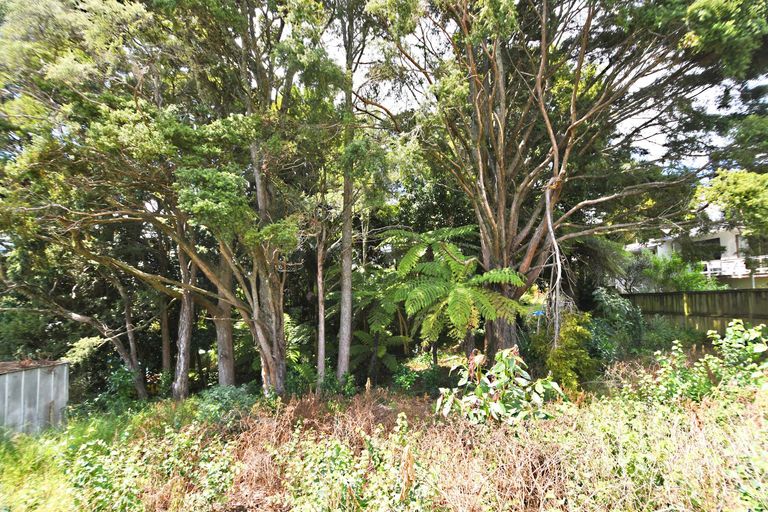 Photo of property in 1/51 Hill Street, Warkworth, 0910