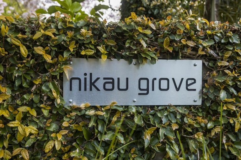 Photo of property in 50r Saint Regis Way, Bethlehem, Tauranga, 3110