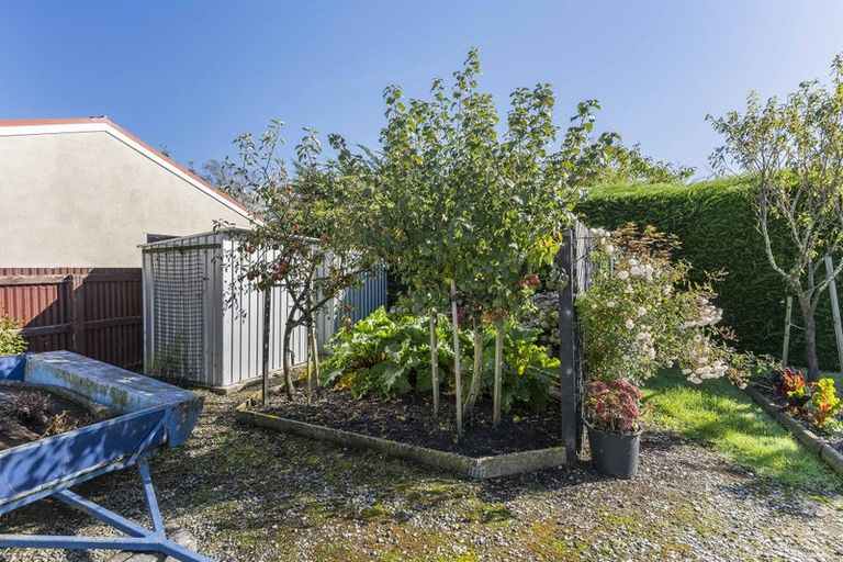 Photo of property in 75 Beach Street, Saint Clair, Dunedin, 9012