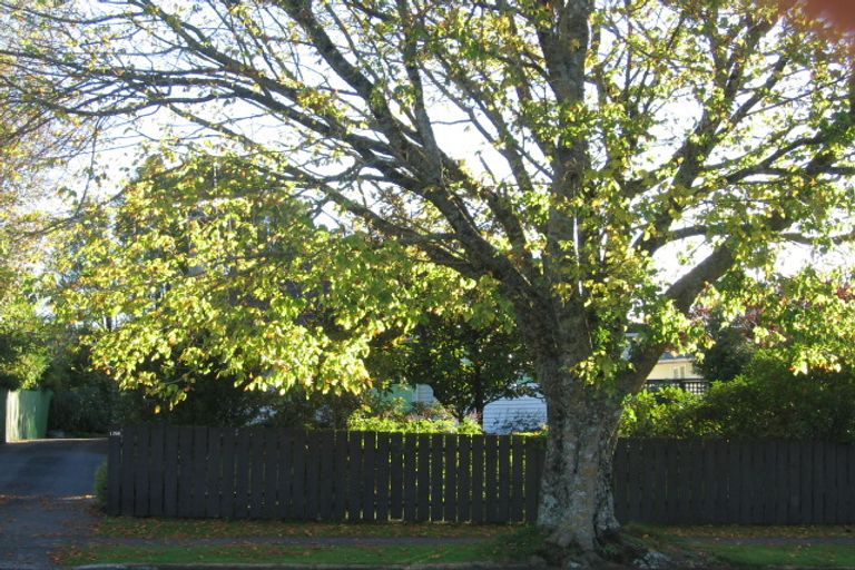 Photo of property in 132 Elizabeth Drive, Tokoroa, 3420