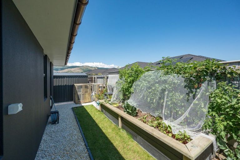 Photo of property in 6 Oakdale Grove, Richmond, 7020