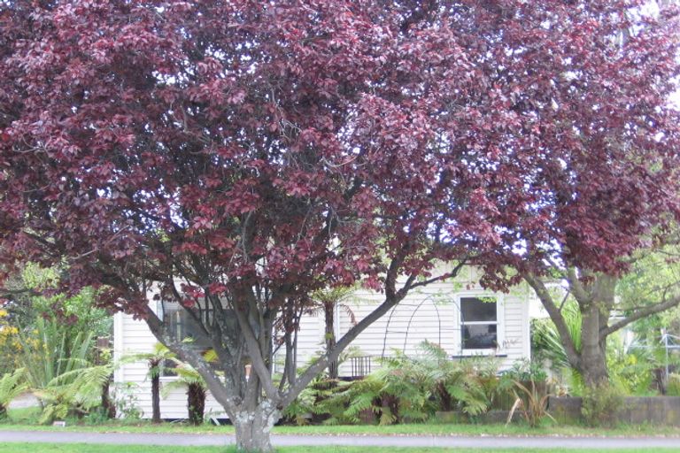 Photo of property in 9 Hinekura Avenue, Taupo, 3330