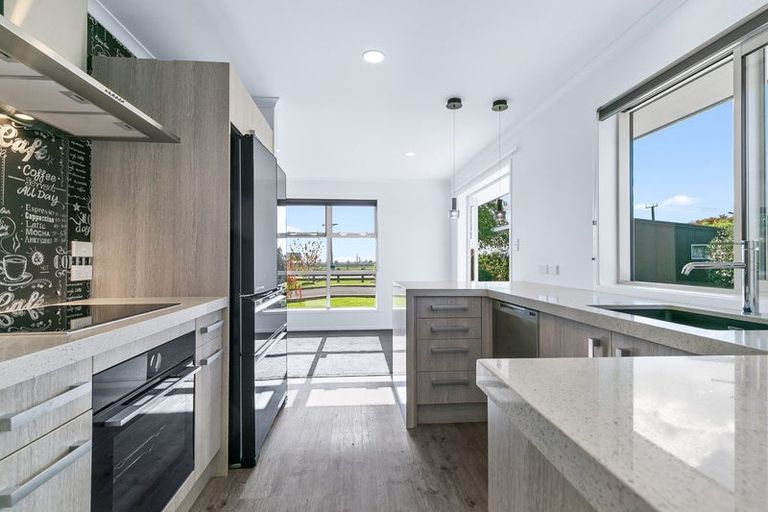 Photo of property in 418 Tararua Road, Levin, 5571