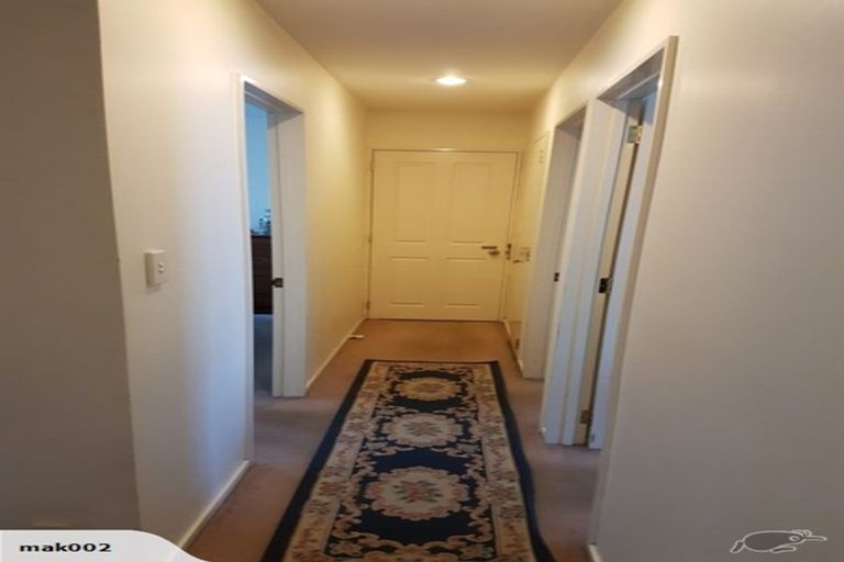 Photo of property in 1/46 Lyttelton Avenue, Forrest Hill, Auckland, 0620