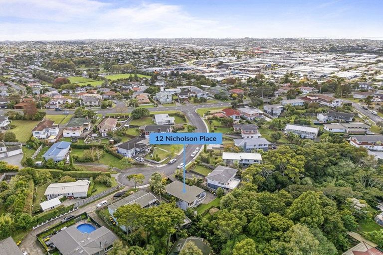 Photo of property in 12 Nicholson Place, Hillcrest, Auckland, 0627