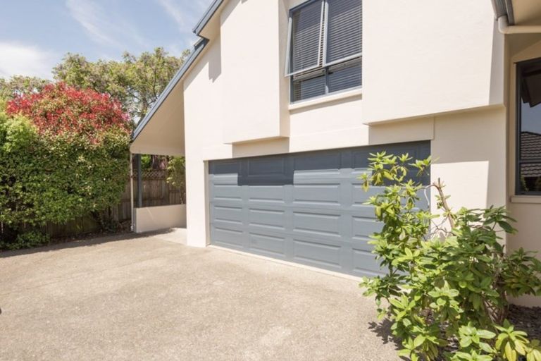 Photo of property in 3 Lobank Place, Richmond, 7020