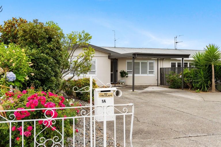 Photo of property in 1 Balmoral Street, Taradale, Napier, 4112