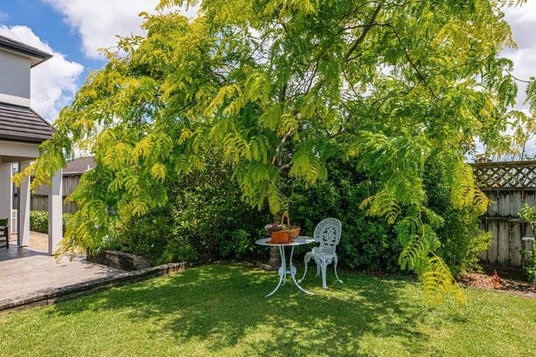 Photo of property in 19 Highfields Terrace, Henderson, Auckland, 0612