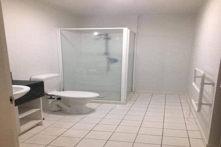Photo of property in Dixonlane Apartments, 8/7 Feltex Lane, Te Aro, Wellington, 6011