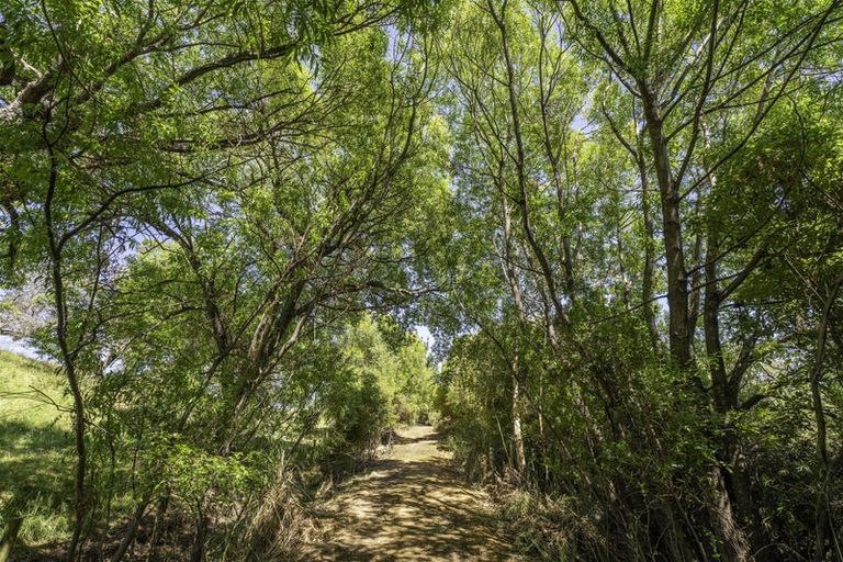 Photo of property in 50 Cliff Road, Tasman, Upper Moutere, 7173