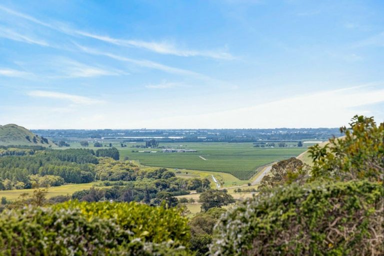 Photo of property in 55 Whakapirau Road, Maraekakaho, Hastings, 4174