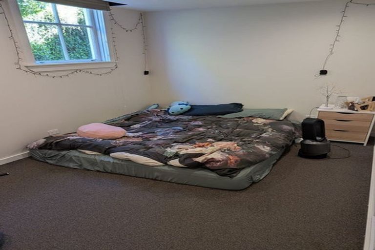 Photo of property in 225 Aro Street, Aro Valley, Wellington, 6021