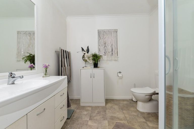 Photo of property in 16 Mcmeekan Avenue, Chartwell, Hamilton, 3210