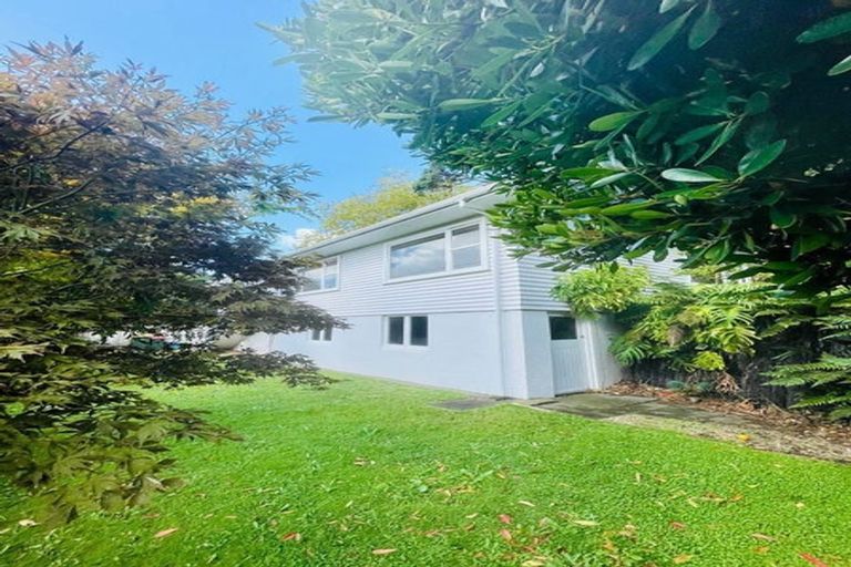 Photo of property in 88 Carrington Street, Lower Vogeltown, New Plymouth, 4310