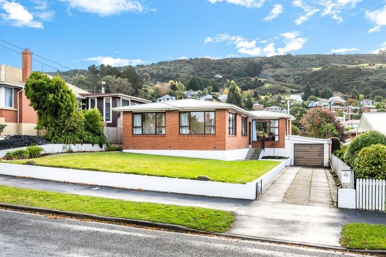 Photo of property in 111 Centennial Avenue, Helensburgh, Dunedin, 9010