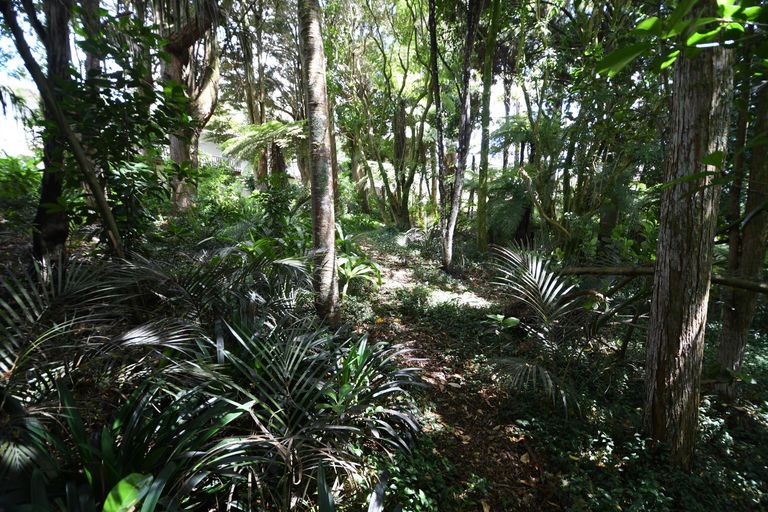 Photo of property in 1/51 Hill Street, Warkworth, 0910