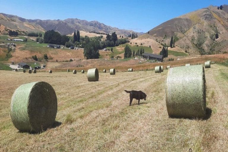 Photo of property in 218 Hawksburn Road, Nevis, Cromwell, 9384