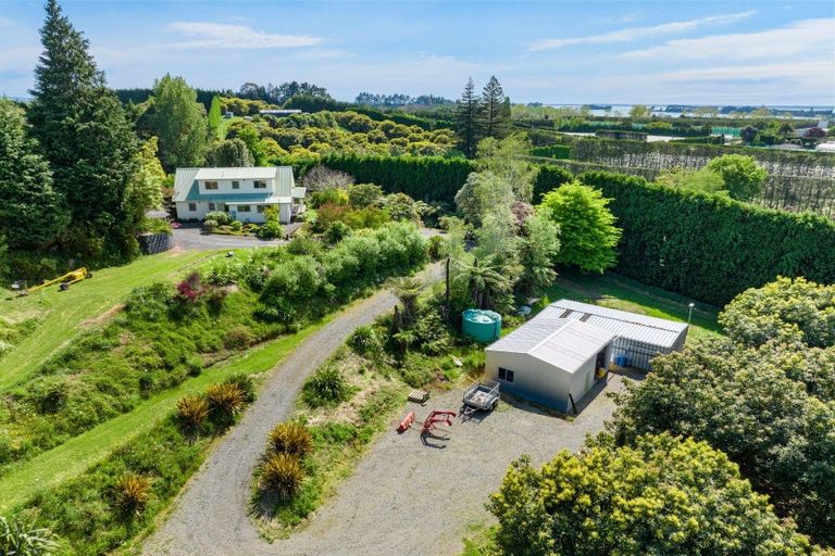 Photo of property in 39 Hot Springs Road, Tahawai, Katikati, 3178