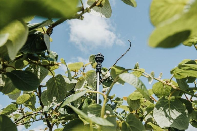 Photo of property in 568 Te Puke Highway, Te Puke, 3187