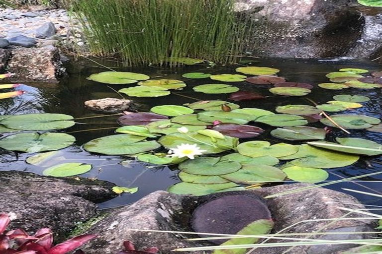 Photo of property in 20b Cambridge Road, Riverhead, 0820