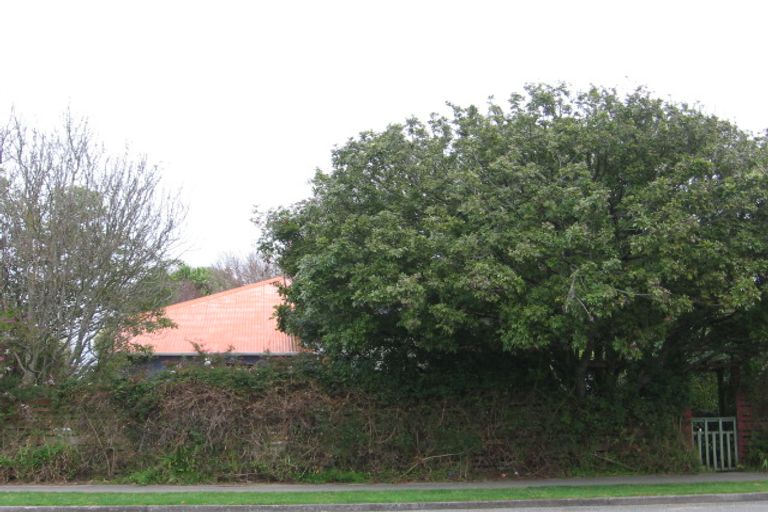 Photo of property in 41 Trafalgar Street, Levin, 5510