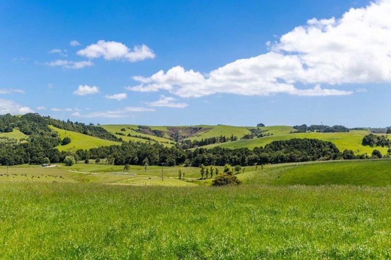 Photo of property in 219 Tapu Bush Road, Whangaripo, Wellsford, 0974
