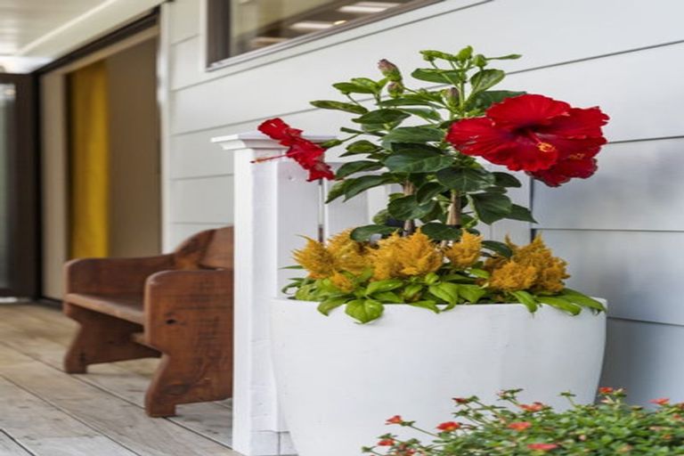 Photo of property in 2/9 Lancaster Road, Beach Haven, Auckland, 0626