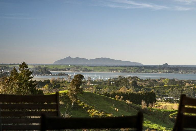 Photo of property in 257f Whakamarama Road, Whakamarama, Tauranga, 3179