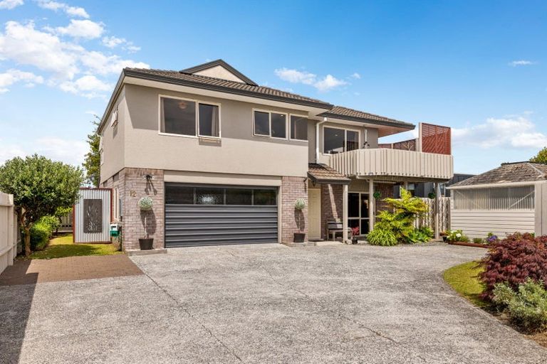 Photo of property in 12 Ririnui Place, Maungatapu, Tauranga, 3112