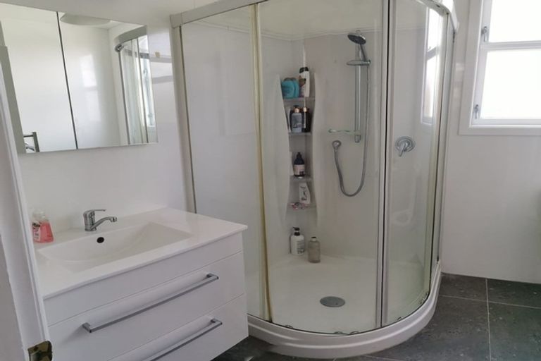 Photo of property in 20 Carrington Street, Mount Cook, Wellington, 6021