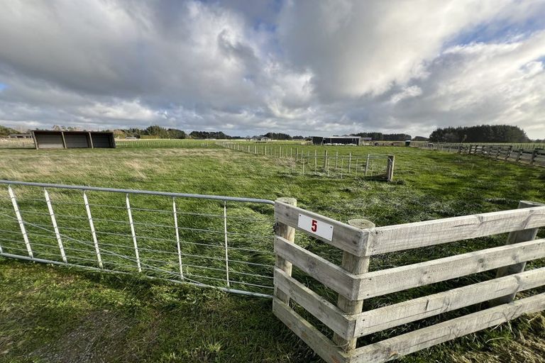 Photo of property in 5 Gill Lane, Rongotea, 4476