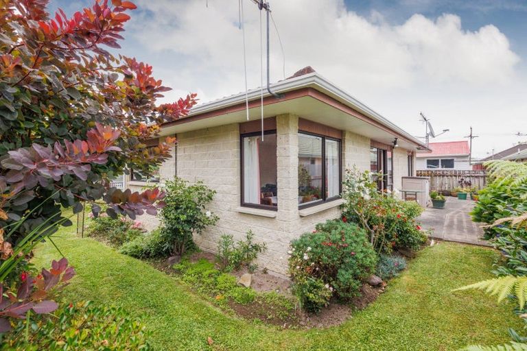 Photo of property in 14a Monrad Street, Highbury, Palmerston North, 4412