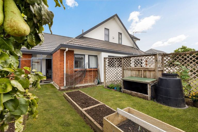 Photo of property in 3 School Place, Cambridge, 3434