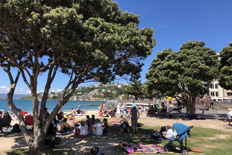 Photo of property in 156a Oriental Parade, Oriental Bay, Wellington, 6011